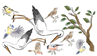 Obrázok z Samolepka na stenu Bociany a vtáčiky