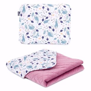 Obrázok Detská deka s vankúšom Volavky Velvet Premium 75x100 cm - rôzne varianty